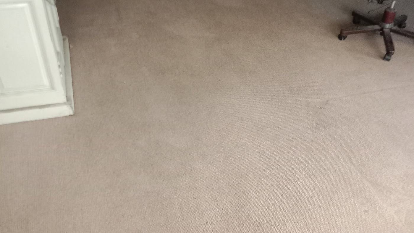 The same carpet after cleaning, the patches gone and the pile an even colour
