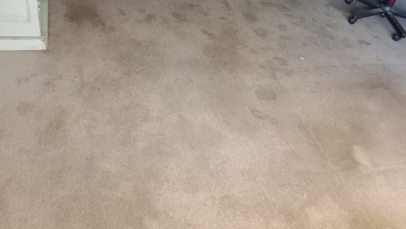 A soiled carpet in a Gqeberha room before cleaning, dark patches across the traffic area