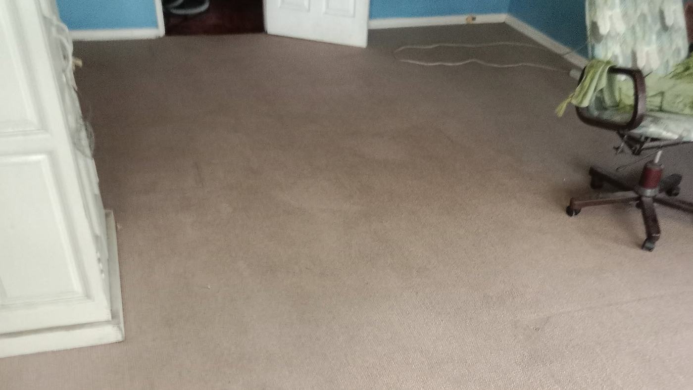 The same room after cleaning, the carpet an even colour from the doorway inwards
