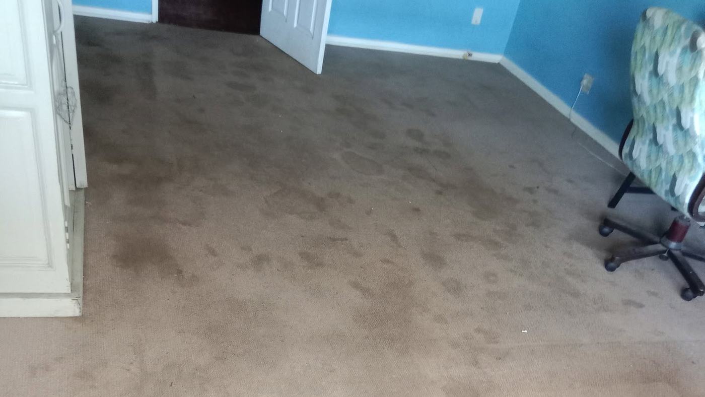A carpeted room in Gqeberha before cleaning, the floor darkened in patches from the doorway inwards